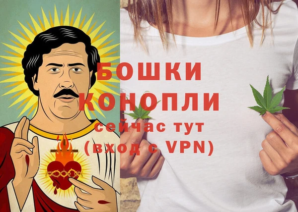 ГАЛЛЮЦИНОГЕННЫЕ ГРИБЫ Верхний Тагил