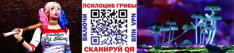Псилоцибиновые грибы Magic Shrooms  Калининец 